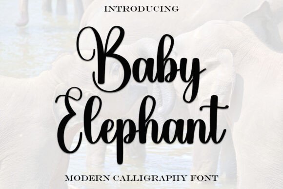 Baby Elephant: A Designer’s Honest Take on This Script Amp