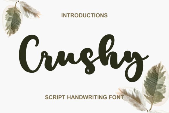 Crushy: The Elegant Handwritten Typeface for Handmade Brands
