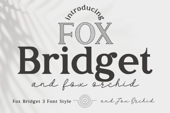 Fox Bridget and Fox Orchid: A Modern Display Typeface Review