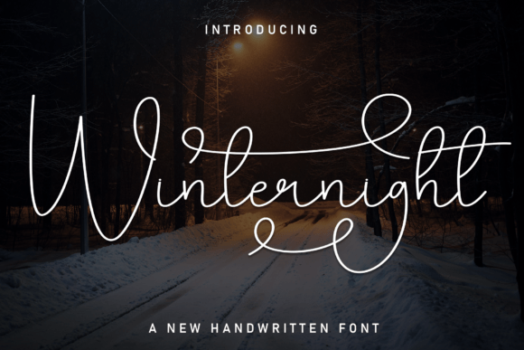 Winternight Typeface Review: Elevating Campaign Visuals with Graceful Script Design